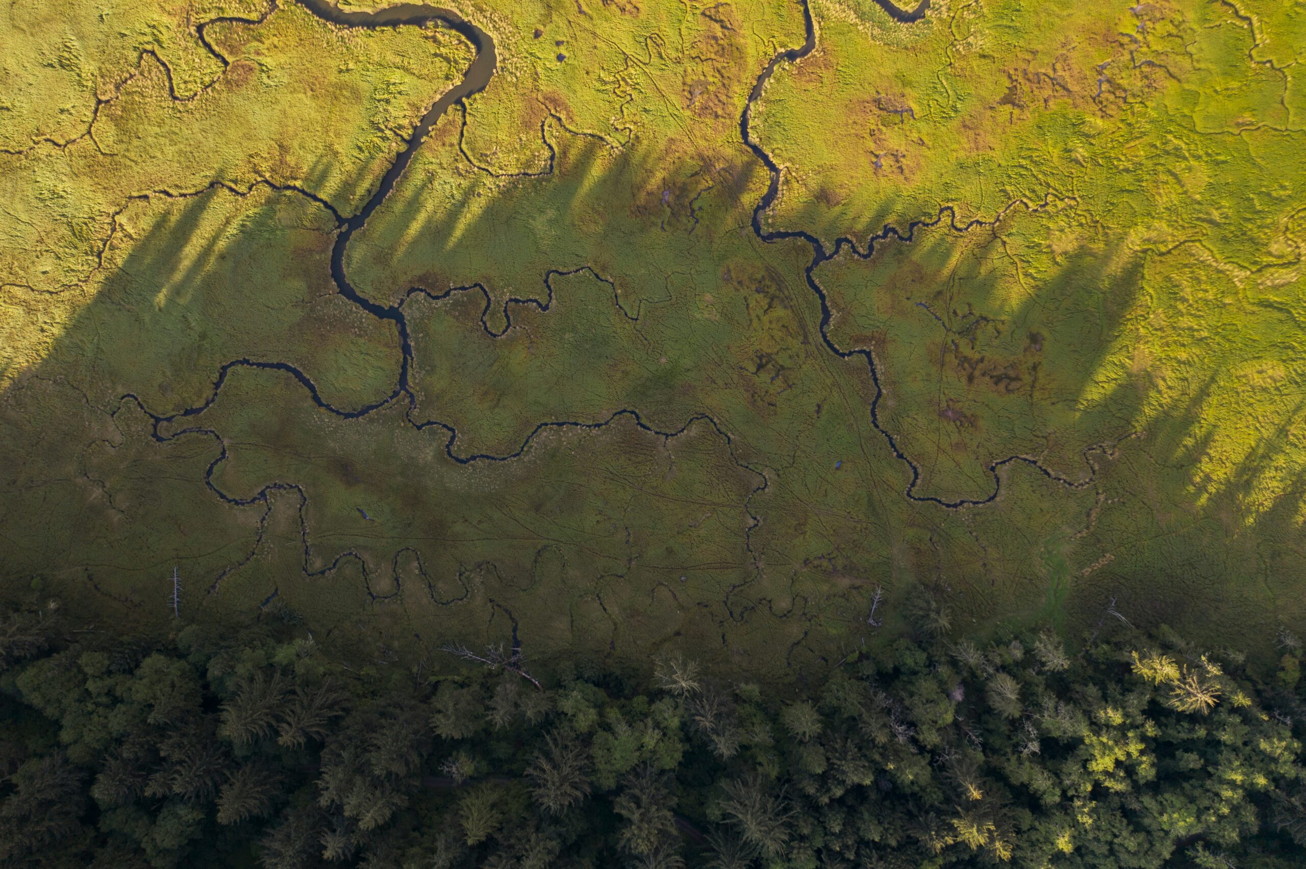 dan meyers n6ckcaqqnhg unsplash scaled.jpg